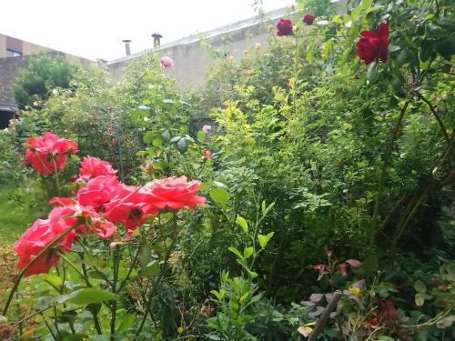 APART PRES DES DOCKS RENOVE 4 pers
