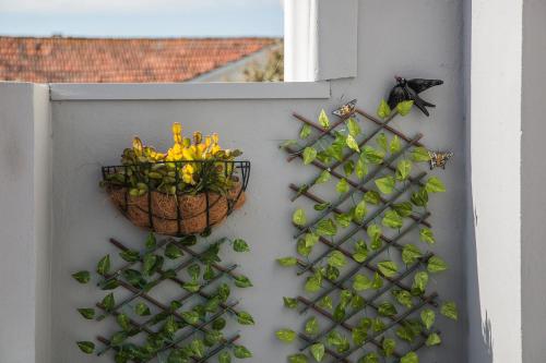 Apartamento À Francos Balcony