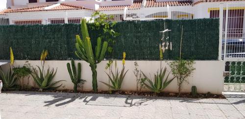 Apartamento Altura II