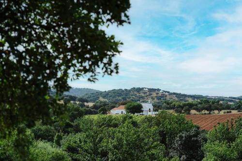 Apartamento Arinto