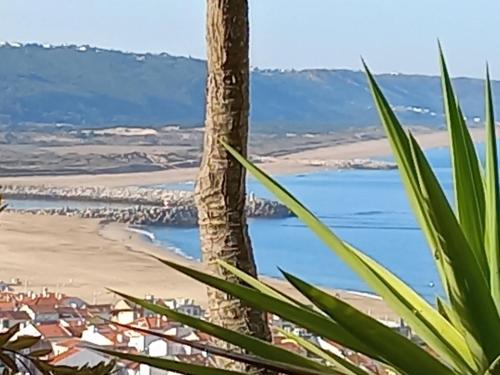 Apartamento Bela Vista
