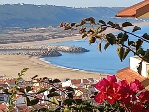 Apartamento Bela Vista