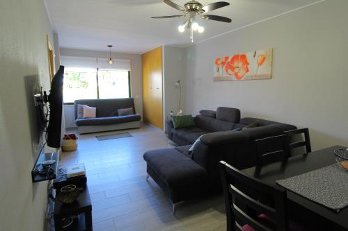 Apartamento das Oliveiras