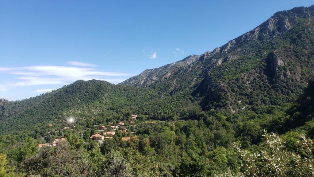 Apartamento Luna - Balaia Golf View