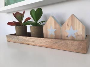 Apartamento modeno e acolhedor com terraço