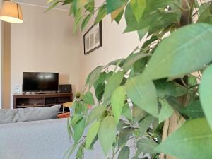 Apartamento Oceanus Park