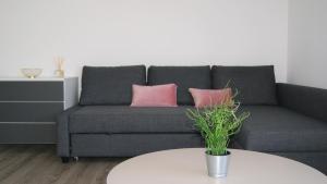 Apartamento Próximo da Praia