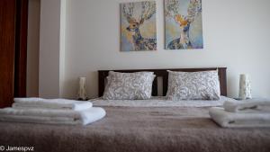 Apartamento Santos Graça
