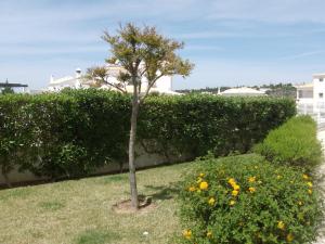 Apartamento Sunny Velamar