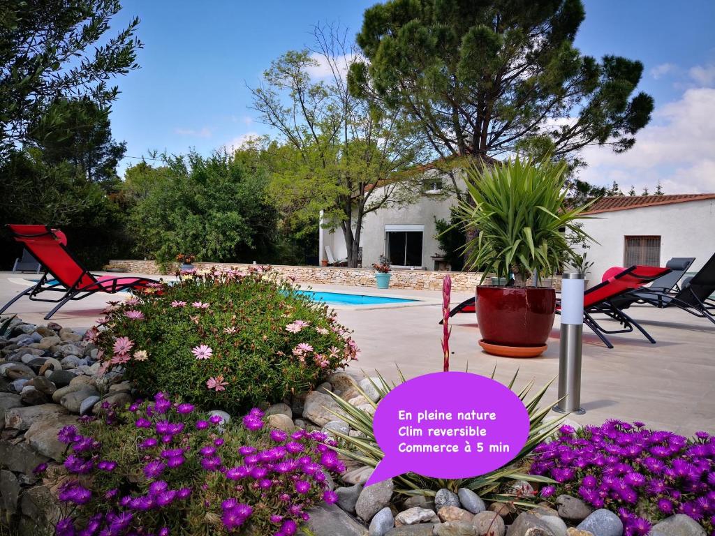 Apartamentos Pomba Branca