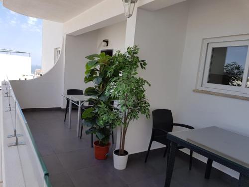 Apartamentos Tio Papel II