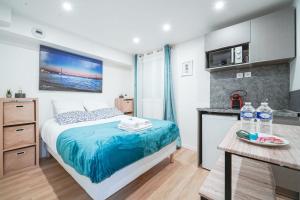 Apartement between Pigale and Gare Saint Lazare - II