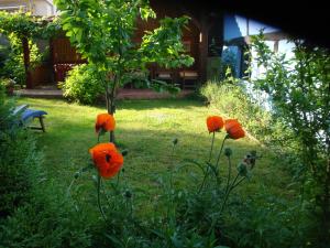 Apartement de vacances Alsace - Ferienwohnung Elsaß - Holiday apartment Alsace