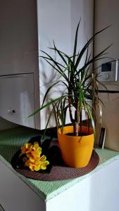 Apartement *Harzblick*