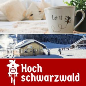 Appartement Apartement Nathalie - Wellness mit Pool und Sauna 3 Am Riesenbühl 79859 Schluchsee Bade-Wurtemberg