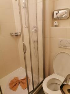 Aparthotel Chrysantihof - Mony