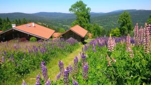 Apartman Šumava - Bavorský les