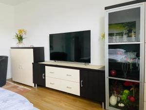 Apartment 1OG