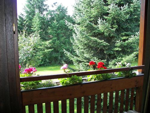 Apartment Albergo Natura