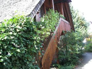 Apartment Albergo Natura
