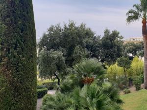 Appartement Apartment Alexandra Palace-3  6400 Cannes Provence-Alpes-Côte d\'Azur