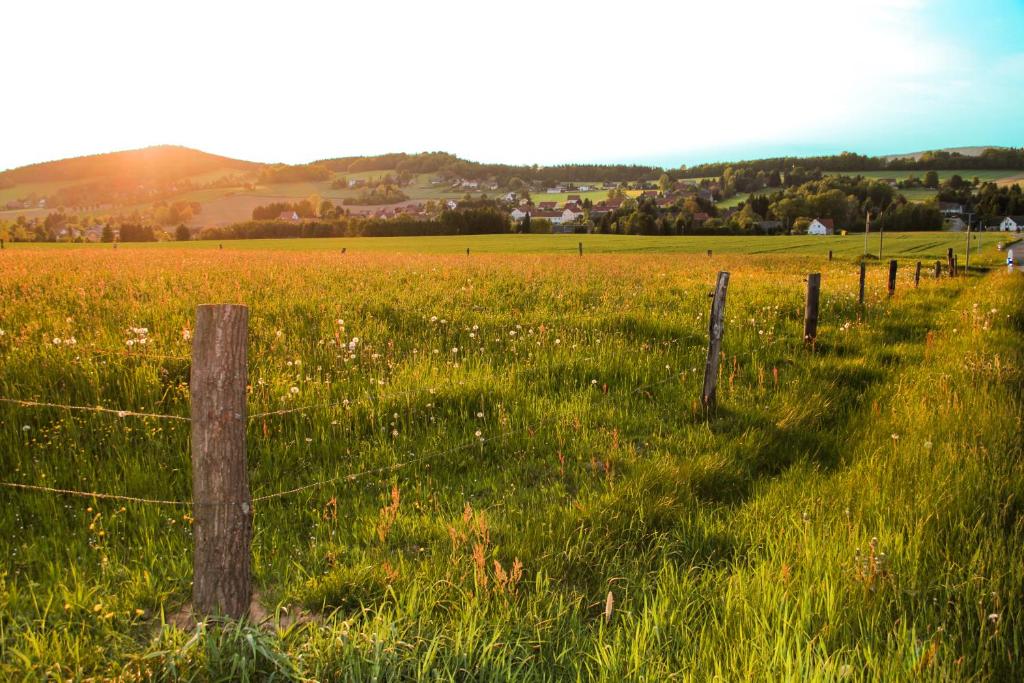 Appartement Apartment am Bieleboh Ahornweg 30 Ferienwohnung 02736 Beiersdorf