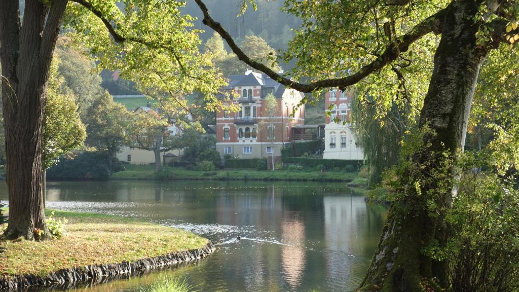 Apartment Am Gondelteich Heißensteiner Weg 3, 08645 Bad Elster