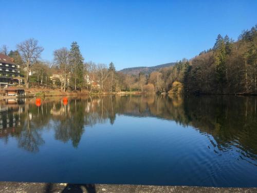 Apartment Am Kurpark