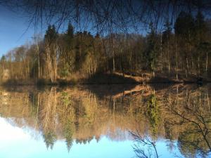 Apartment Am Kurpark