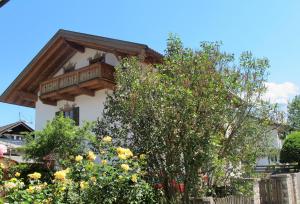 Apartment Anda