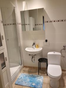 Apartment Betzenberg, nur Netflix