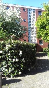 Apartment Bexor D19