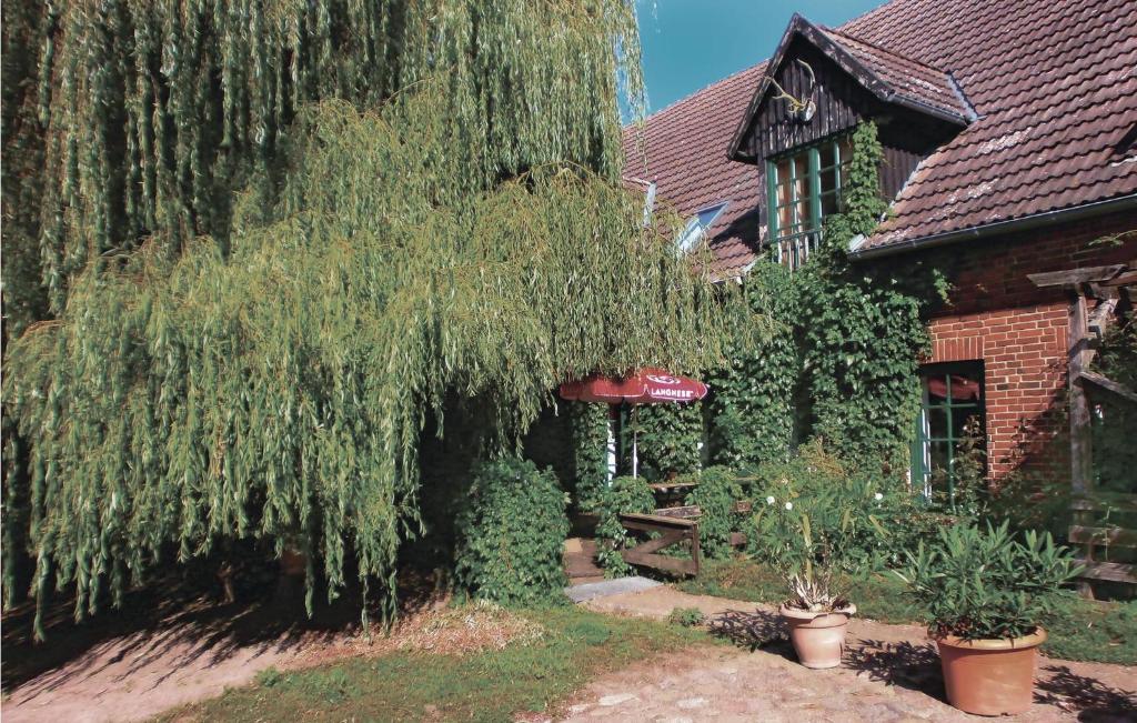 Apartment Birkenallee Z , 18184 Thulendorf