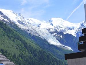 Apartment Blanc Neige