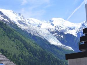 Appartement Apartment Blanc Neige  74400 Chamonix-Mont-Blanc Rhône-Alpes