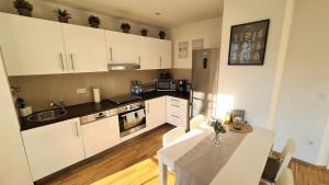 Apartment Blochmann-Cárre