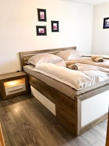 Appartement Apartment Bürgerstraße, 50 q.m. Bürgerstraße 47 01127 Dresde Saxe