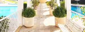 Apartment Caledonia