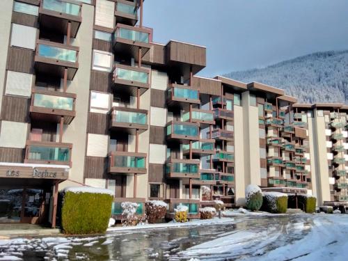 Apartment Castel des Roches-4