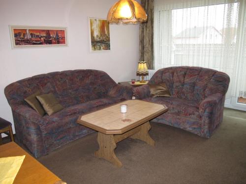 Apartment Cox