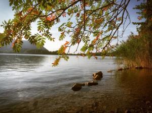 Appartement Apartment Dachjuchhe zum See - großzügig, modern und sehr zentral Seestraße 9b 2. Etage 83727 Schliersee Bavière