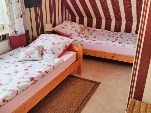 Apartment Daija
