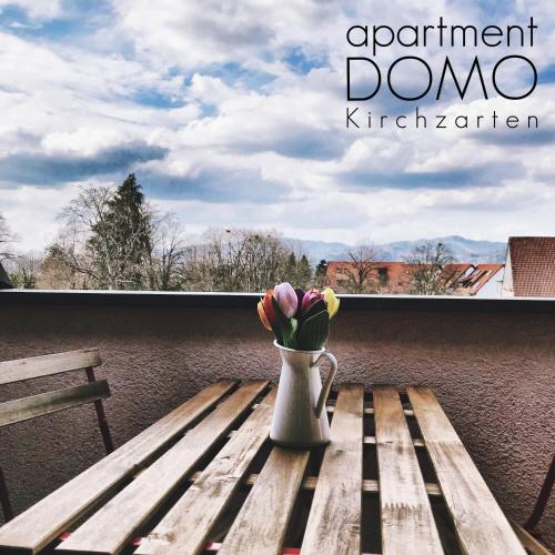 Apartment DOMO Kirchzarten