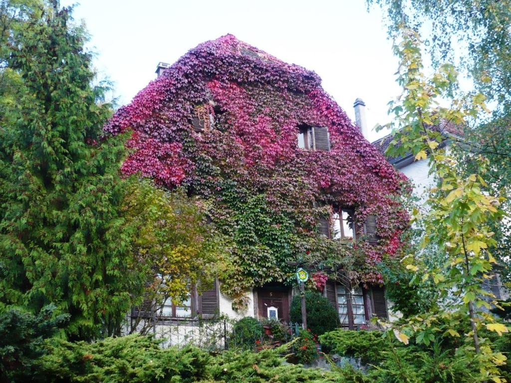 Apartment-Ferienwohnung in Mainaschaff