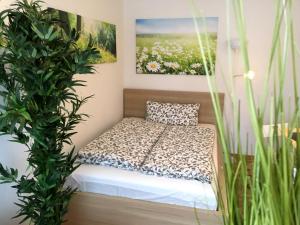 Apartment Flowerside
