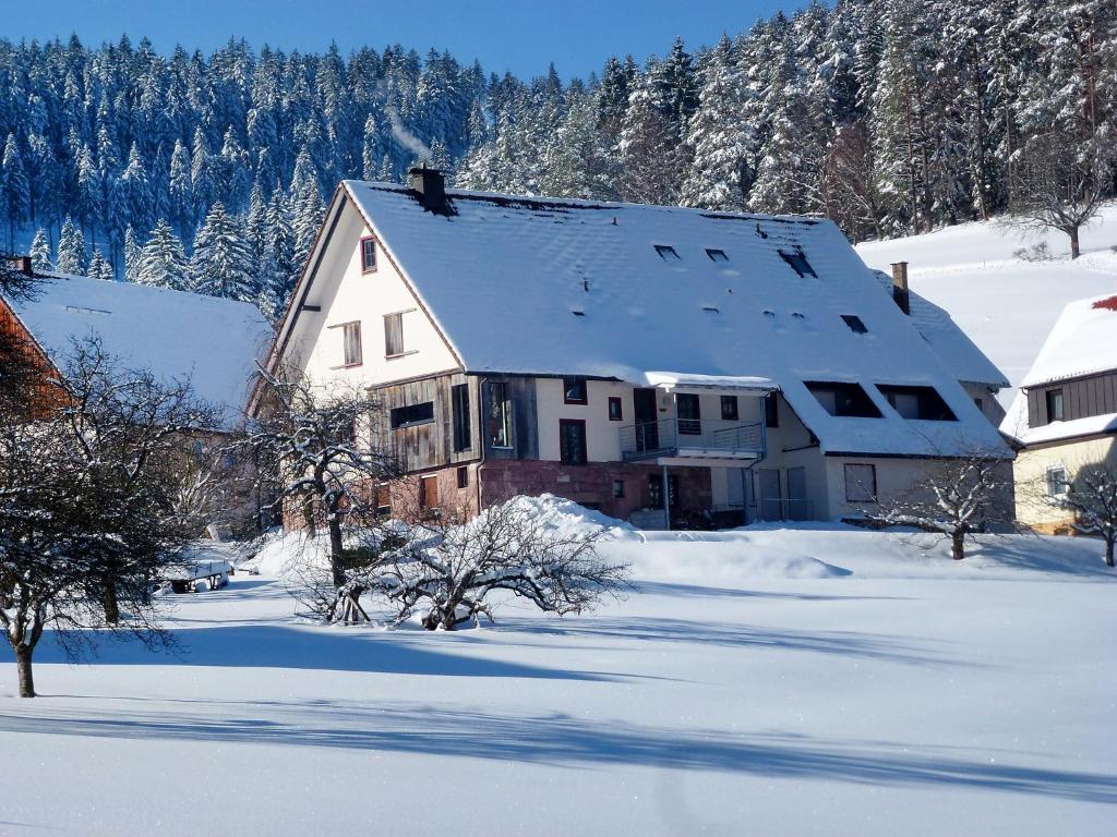 Apartment Freyenhöfe-1 , 72270 Tonbach