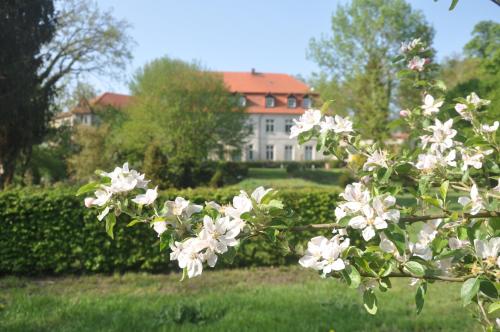 Apartment für 4 Personen im Schloss Neuhausen