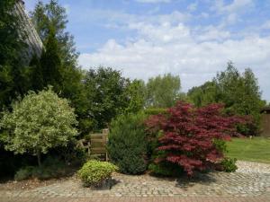 Appartement Apartment Gingst 1  18569 Haidhof Mecklembourg-Poméranie