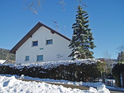Apartment Haus Silberdistel