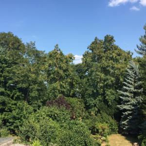 Appartement Apartment Hope Inn Reinheimerstraße 22 64846 Groß-Zimmern Hesse